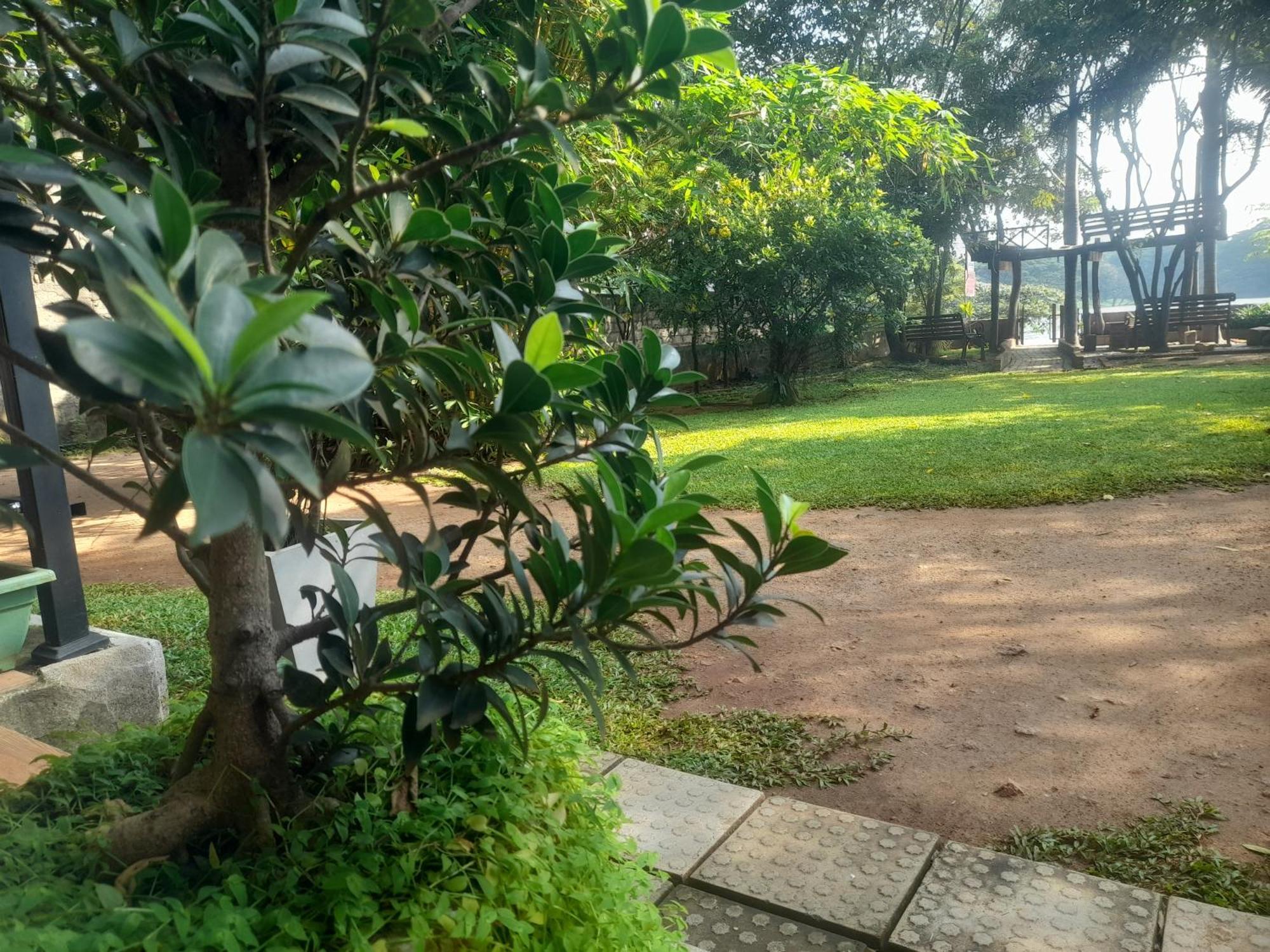 Shashin Lake Resort Dambulla Eksteriør bilde